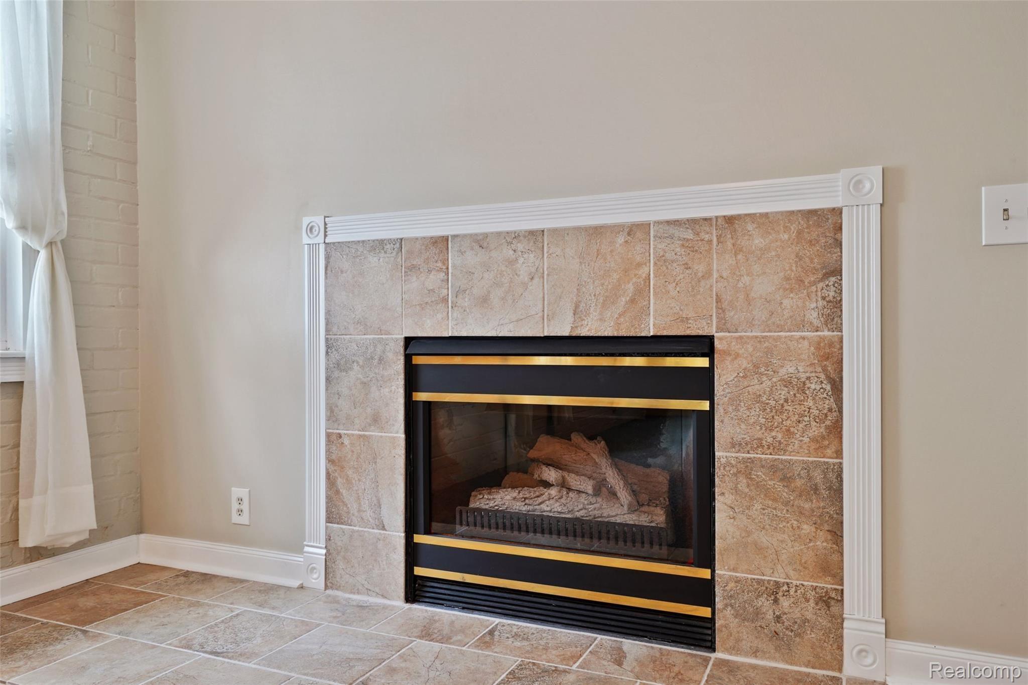 316 Romeo Road Rochester, MI 48307 - Photo 14 of 22 Gas fireplace in master bedroom