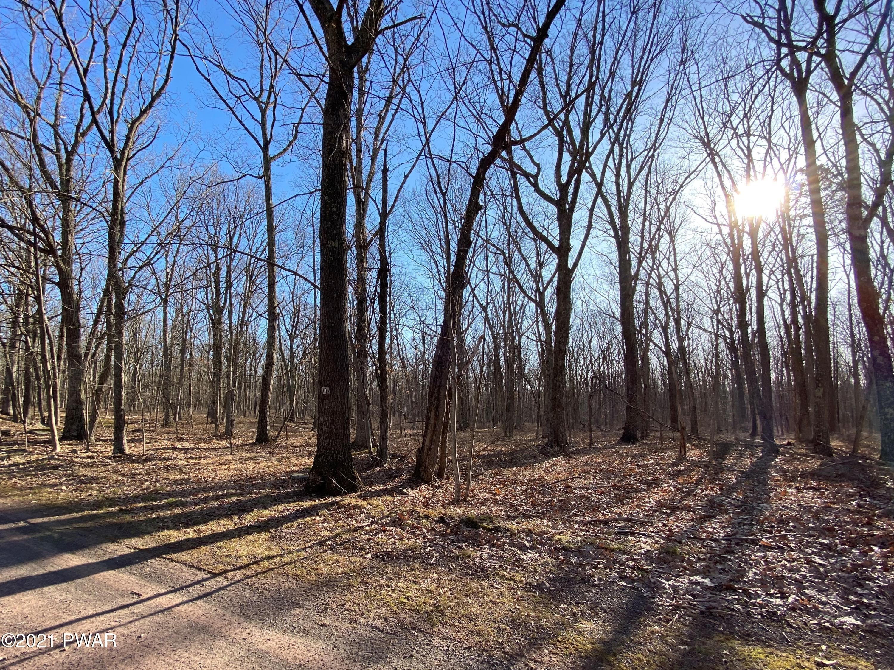 Lot 104 Mountaintop Road Lackawaxen, PA 18435 - Photo 3 of 7