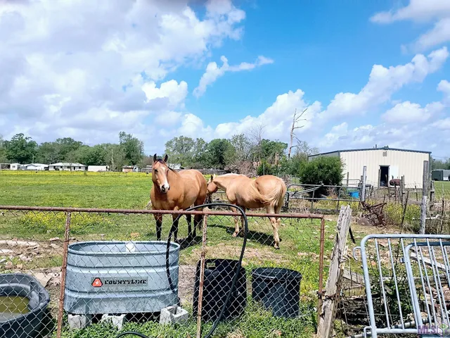 $218,000 | 145 Bayou Blue Bypass Road, Gray, LA 70359