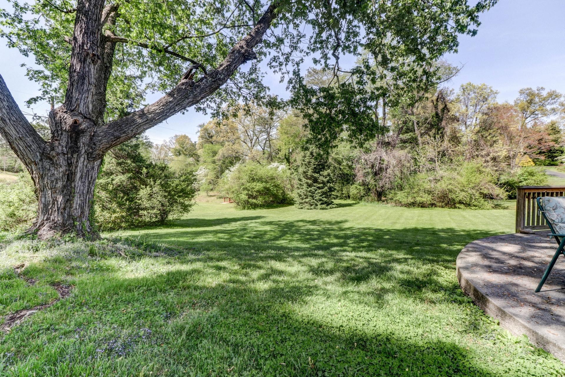 3851 Mud Lick Road Southwest Roanoke, VA 24018 - Photo 29 of 34 Yard