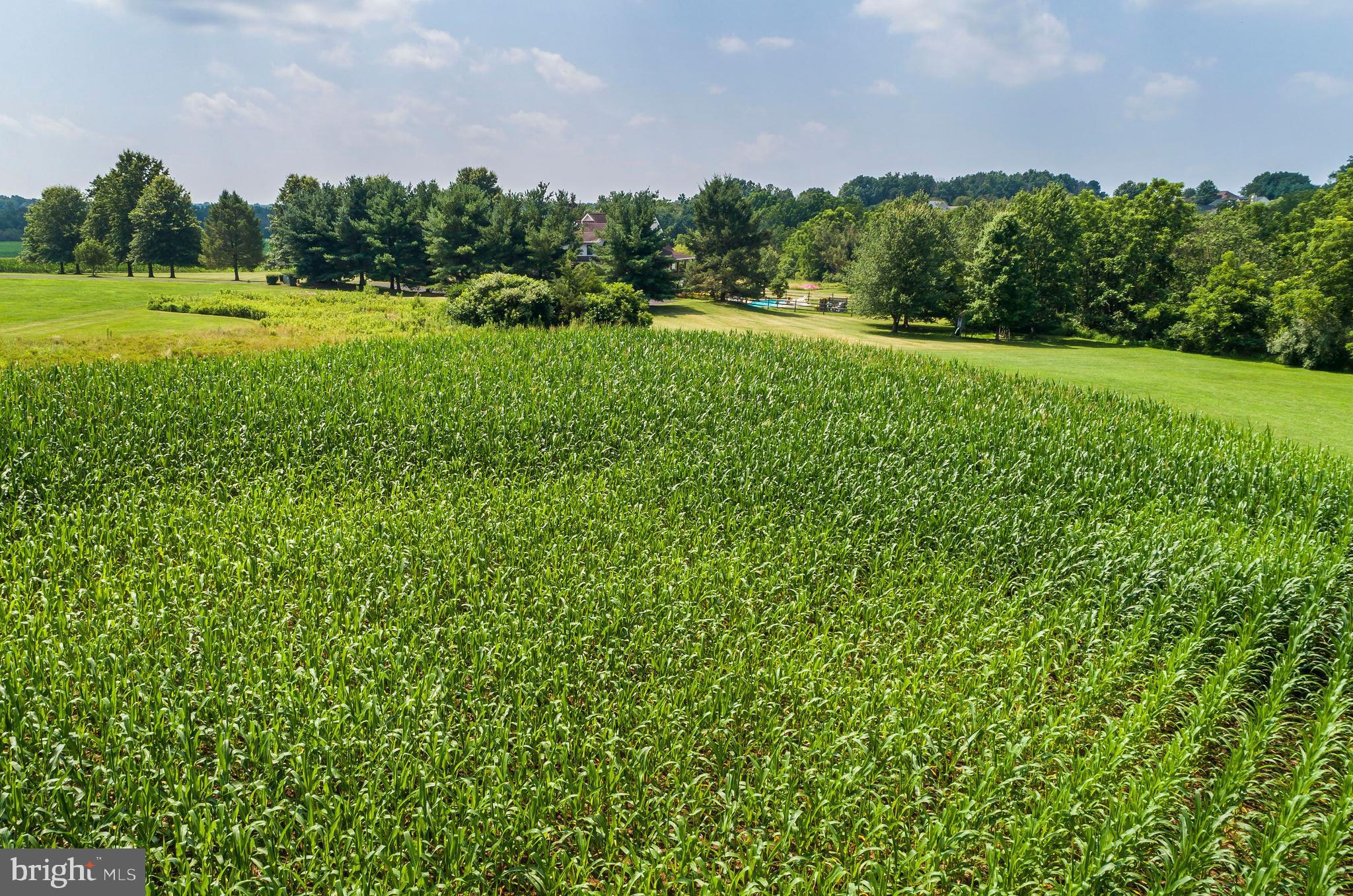 1136 Elephant Road Perkasie, PA 18944 - Photo 49 of 50