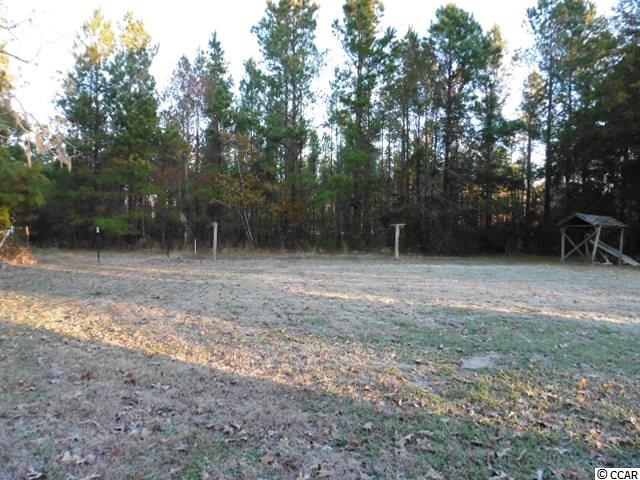 6840 Clay Hill Road Galivants Ferry, SC 29544 - Photo 5 of 22 Gallery Image 5