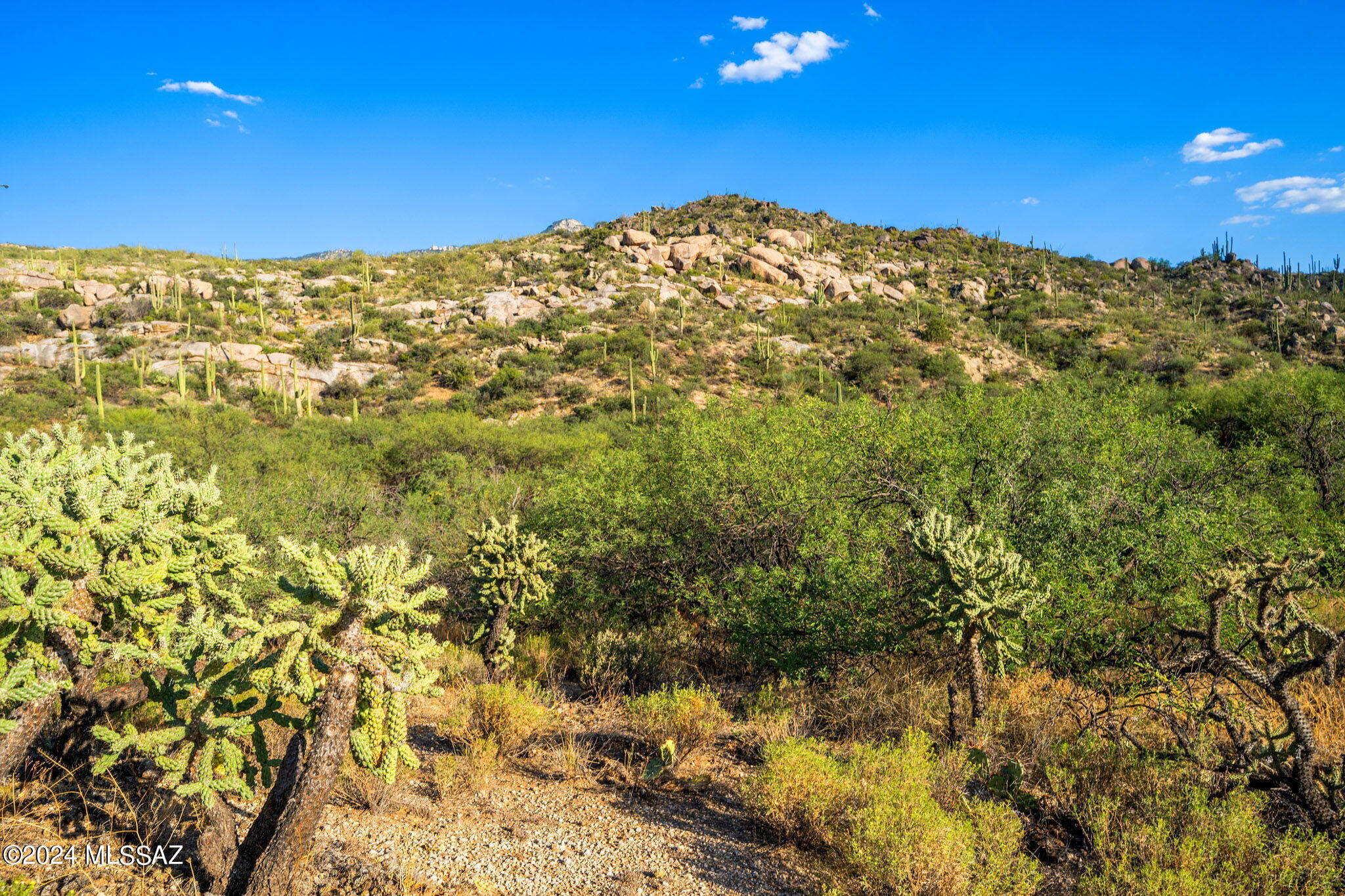 16500 North Ridge Rock Trail Tucson, AZ 85739 - Photo 27 of 29 25-web-or-mls-16500 N Ridge Rock Trail -