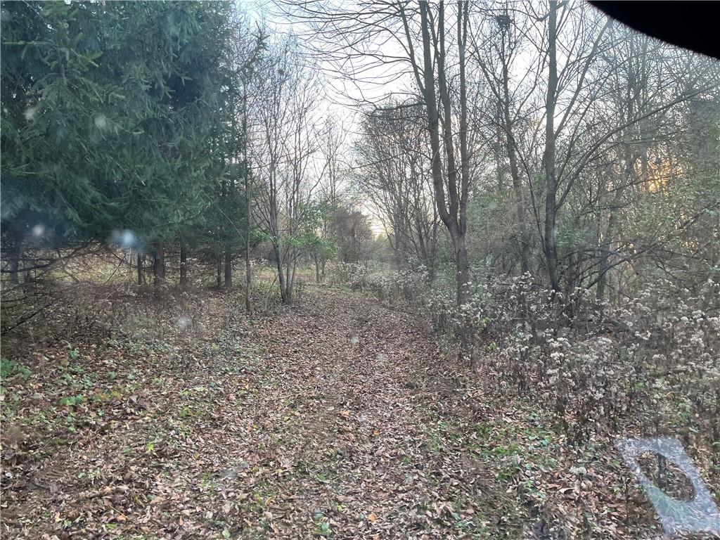 0 Dutch Ridge Road Ellwood City, PA 16117 - Photo 1 of 5 a view of a yard with trees in the background
