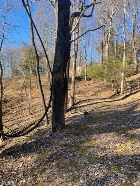 222 Newt's Hill Road Fancy Gap, VA 24328 - Photo 11 of 14 Gallery Image 11