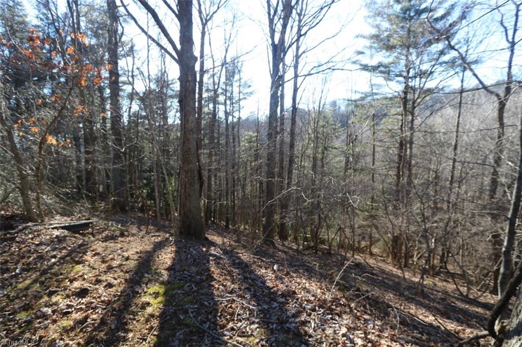 222 Newt's Hill Road Fancy Gap, VA 24328 - Photo 13 of 14 Gallery Image 13
