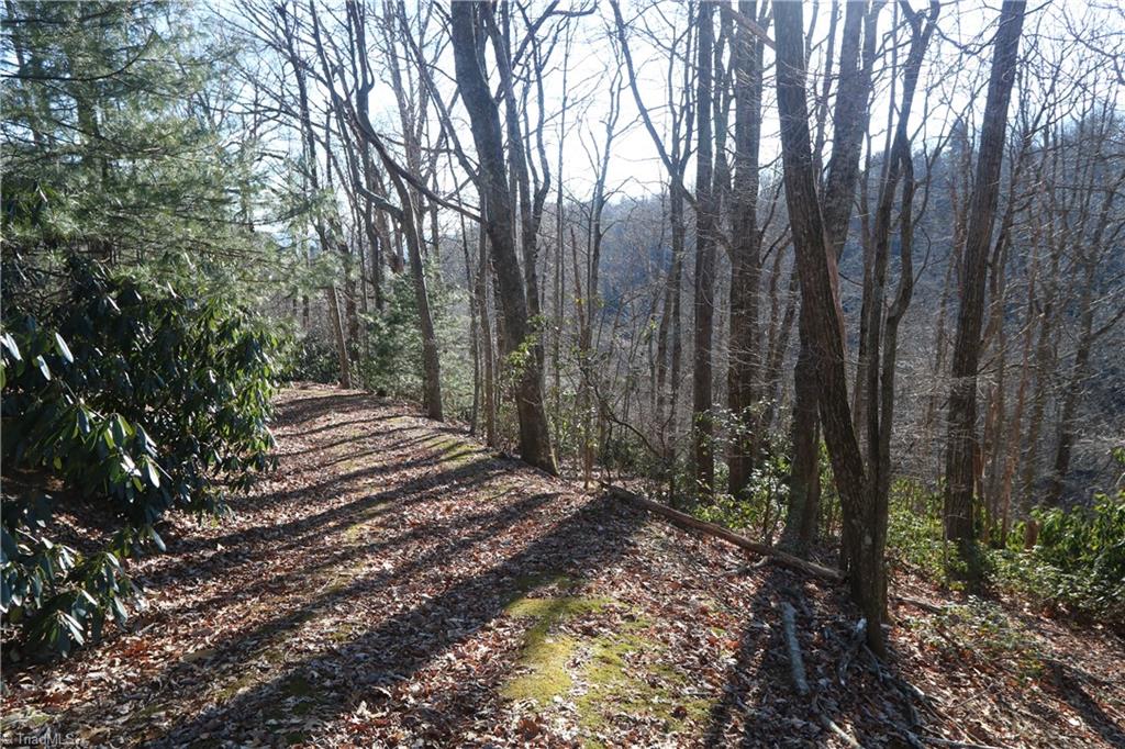 222 Newt's Hill Road Fancy Gap, VA 24328 - Photo 3 of 14 Gallery Image 3
