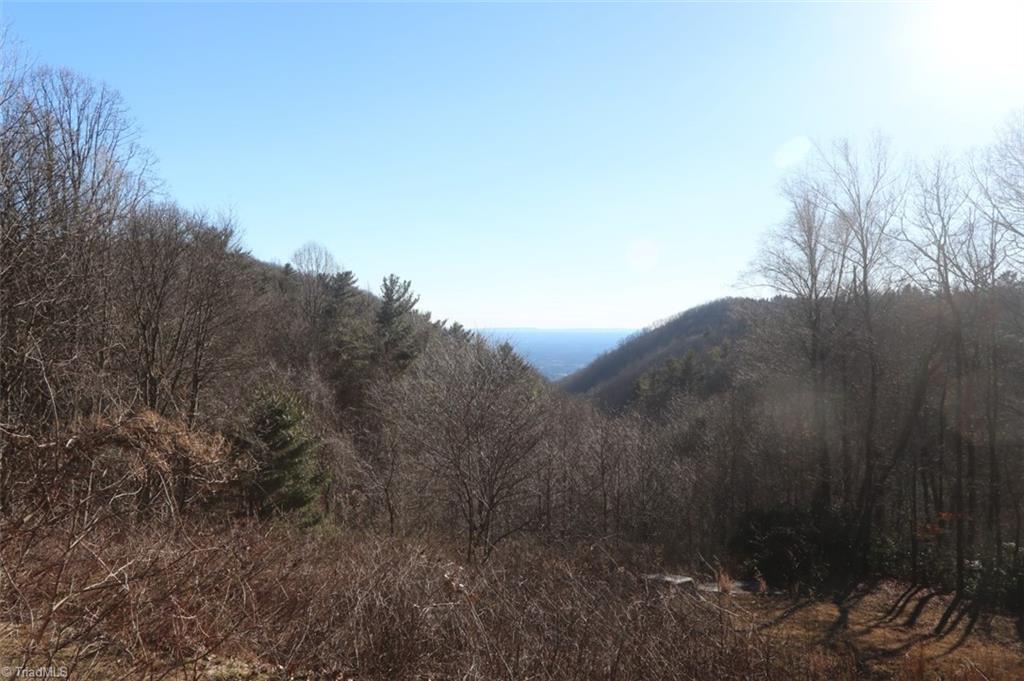 222 Newt's Hill Road Fancy Gap, VA 24328 - Photo 6 of 14 Gallery Image 6
