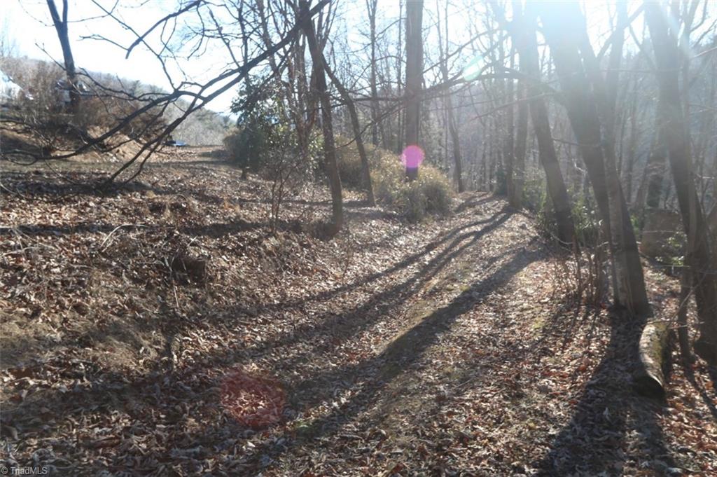 222 Newt's Hill Road Fancy Gap, VA 24328 - Photo 7 of 14 Gallery Image 7