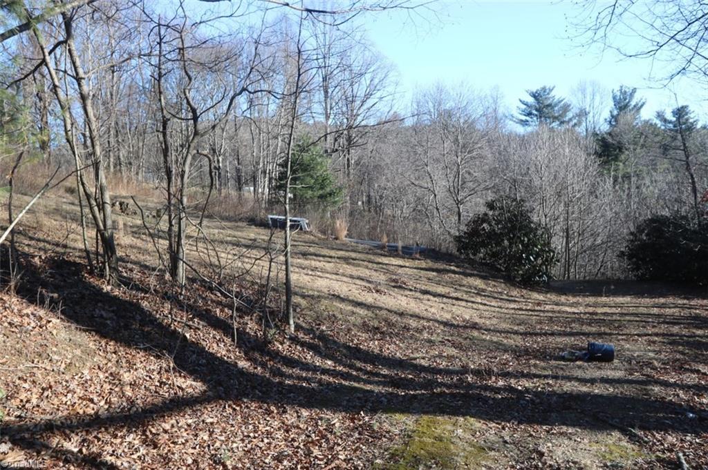 222 Newt's Hill Road Fancy Gap, VA 24328 - Photo 8 of 14 Gallery Image 8