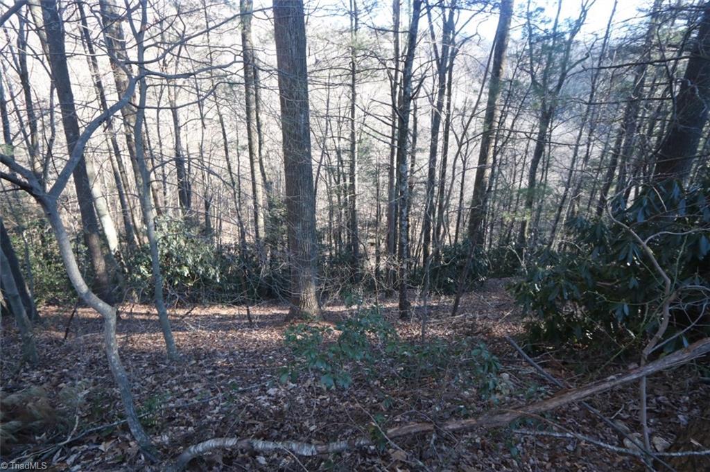 222 Newt's Hill Road Fancy Gap, VA 24328 - Photo 10 of 14 Gallery Image 10