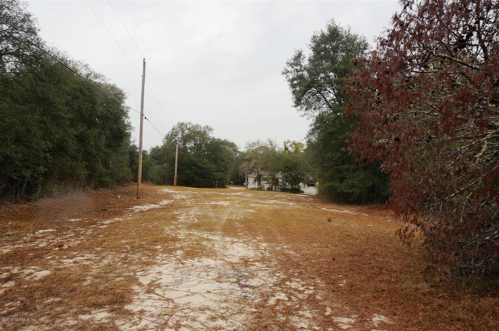 7463 Lilly Court Keystone Heights, FL 32656 - Photo 10 of 10 a view of a yard with a tree