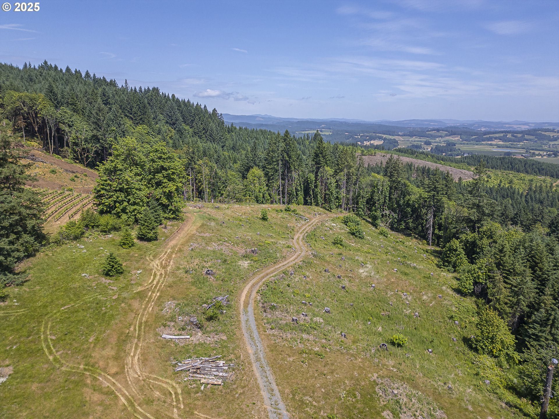 13900 Northwest Fir Crest Road McMinnville, OR 97128 - Photo 37 of 39 a view of a pathway with a yard