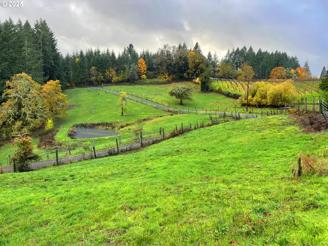 a view of a park with large trees
