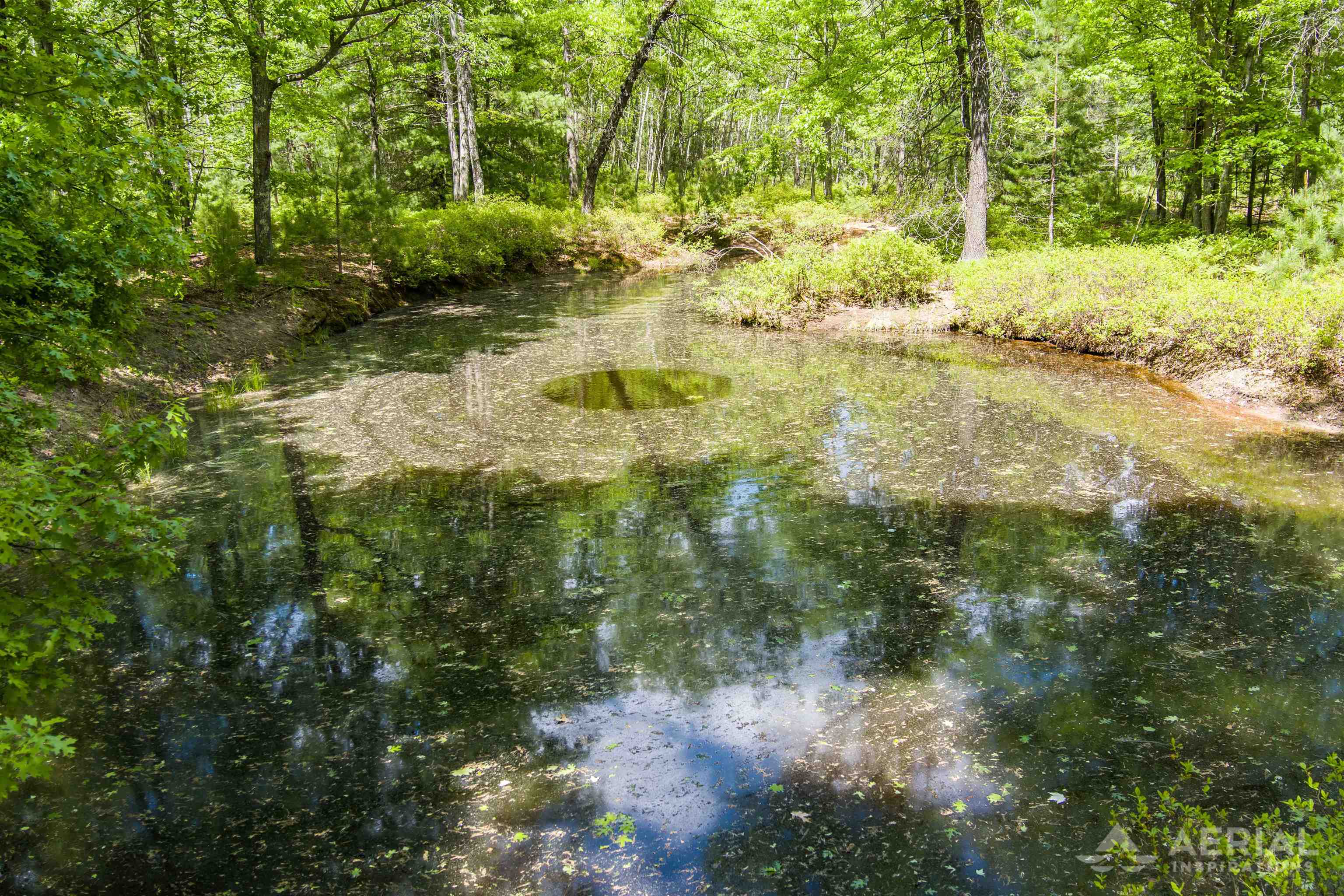 0 East Sugar River Road Alger, MI 48610 - Photo 5 of 12 Gallery Image 5