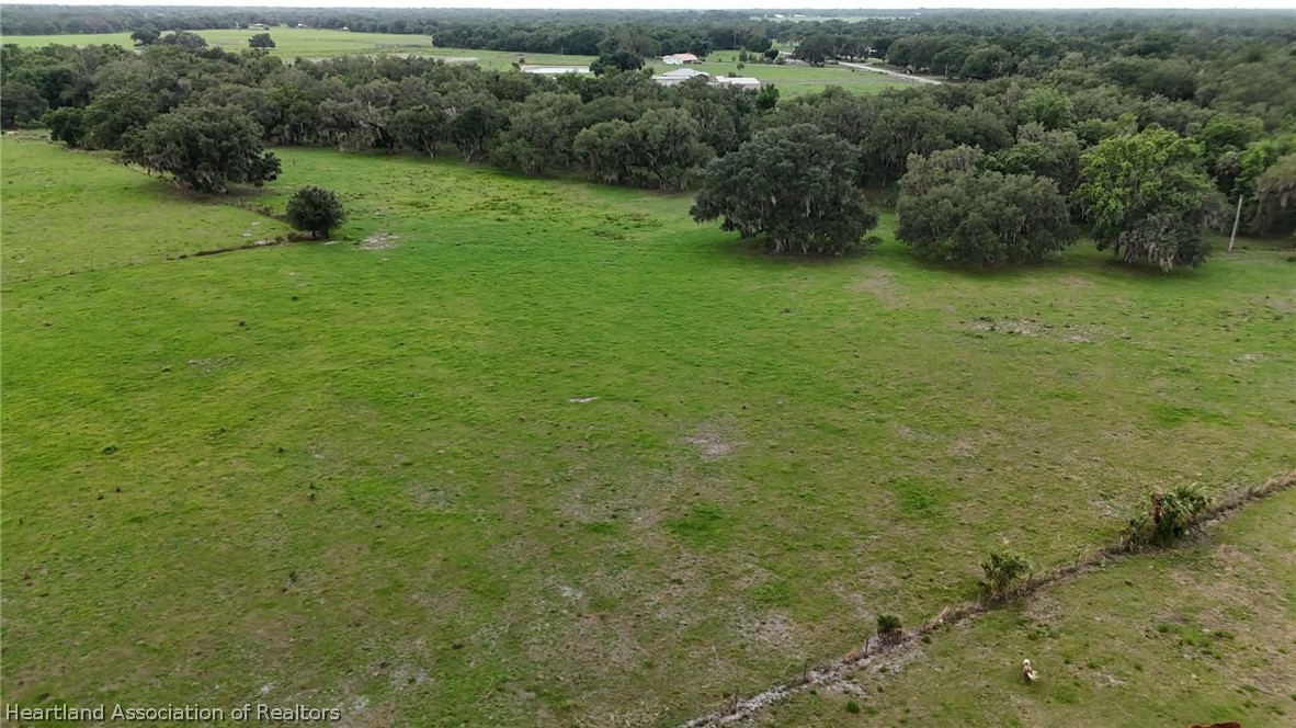 Popash Road Wauchula, FL 33873 - Photo 19 of 29 a view of a garden