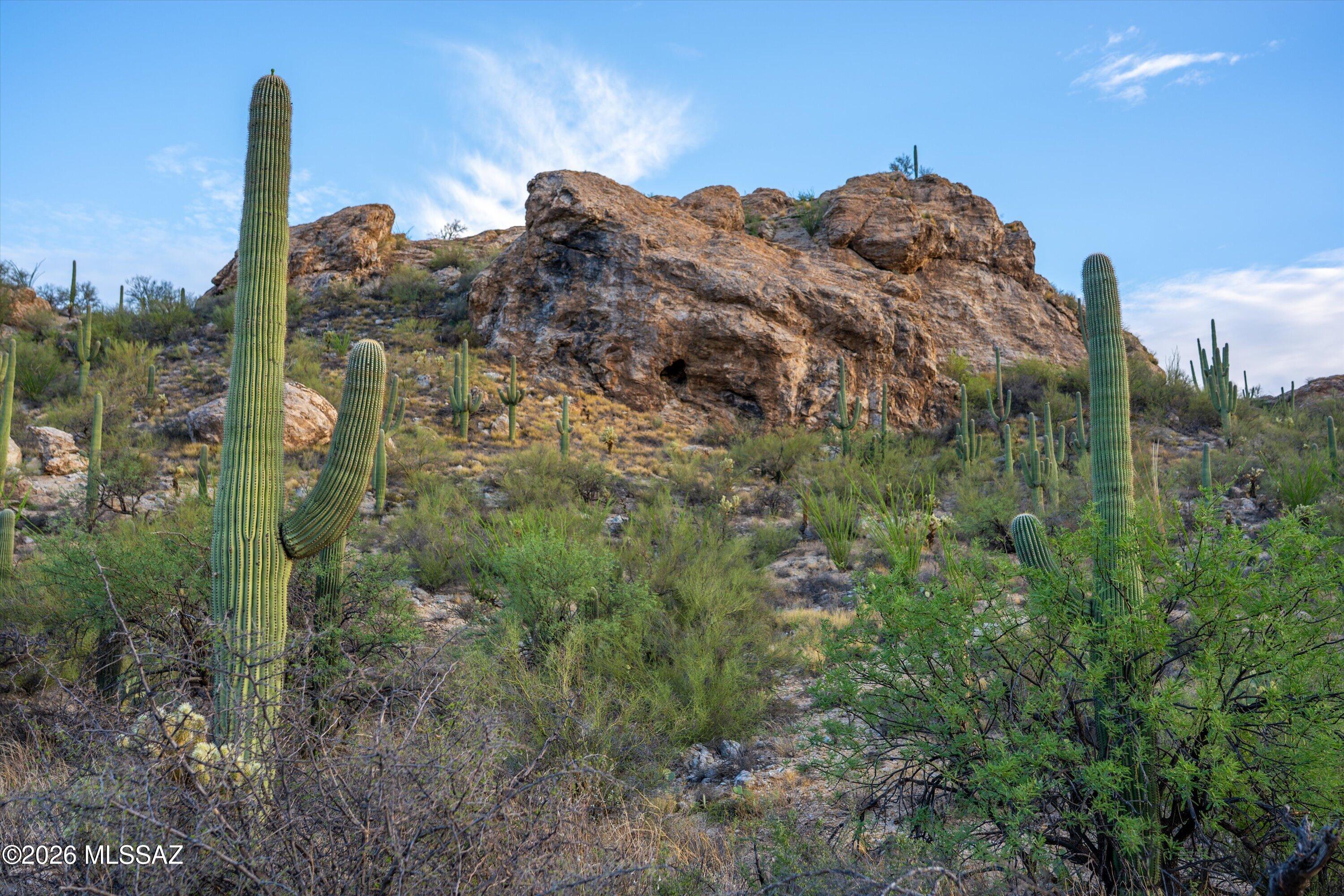 13945 East Redington Road, Unit 87 Tucson, AZ 85749 - Photo 19 of 34 Looking North on Lot