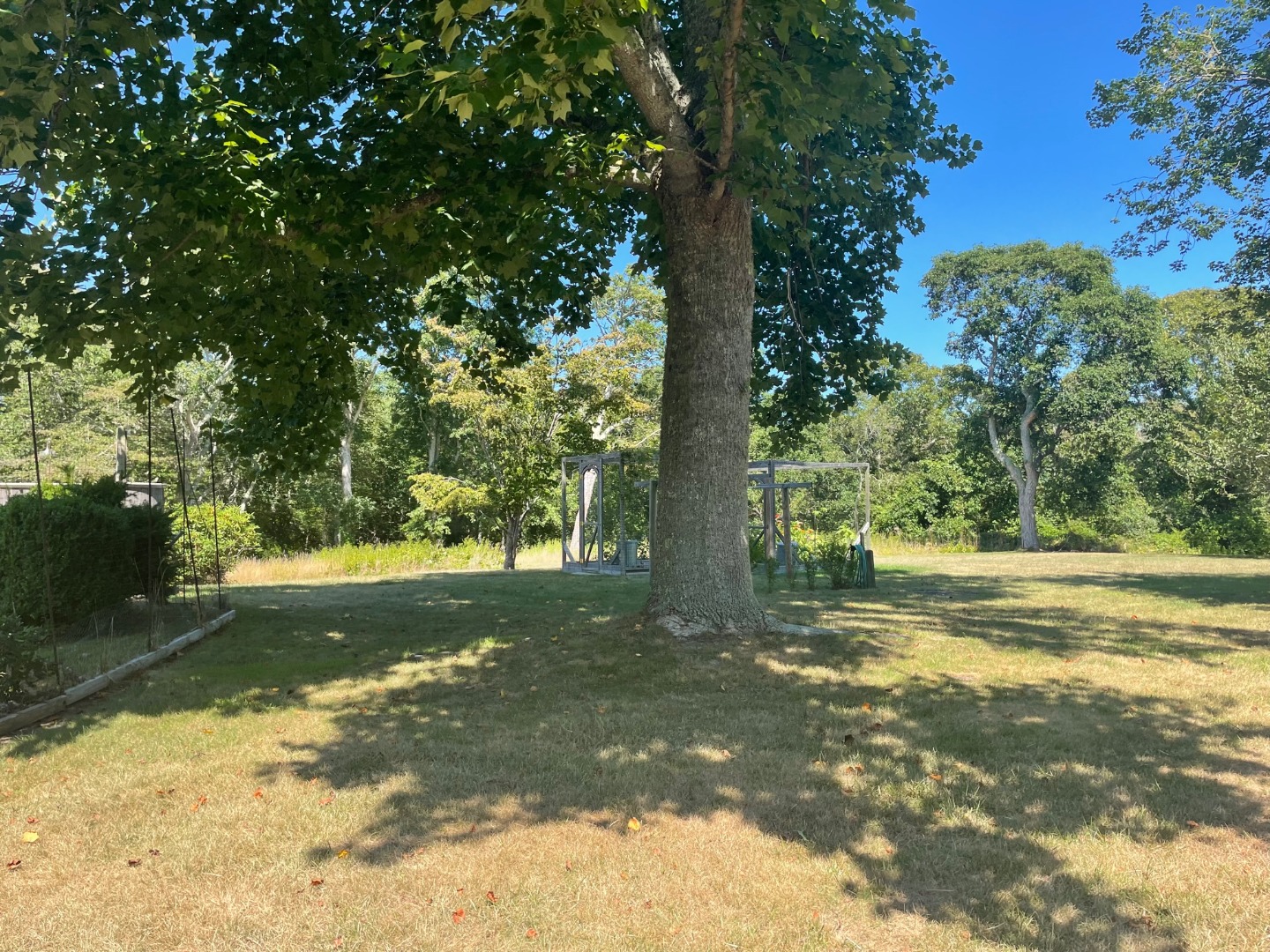 209 Chappaquiddick Road Edgartown, MA 02539 - Photo 4 of 7 a view of a yard with a tree