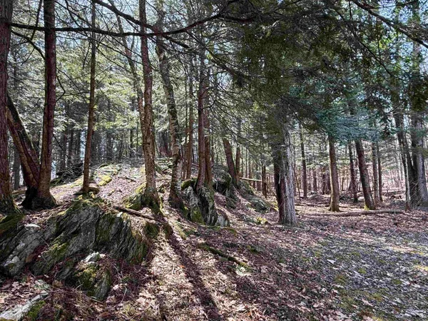 $350,000 | 74 Dutton District Road, Springfield, VT 05156