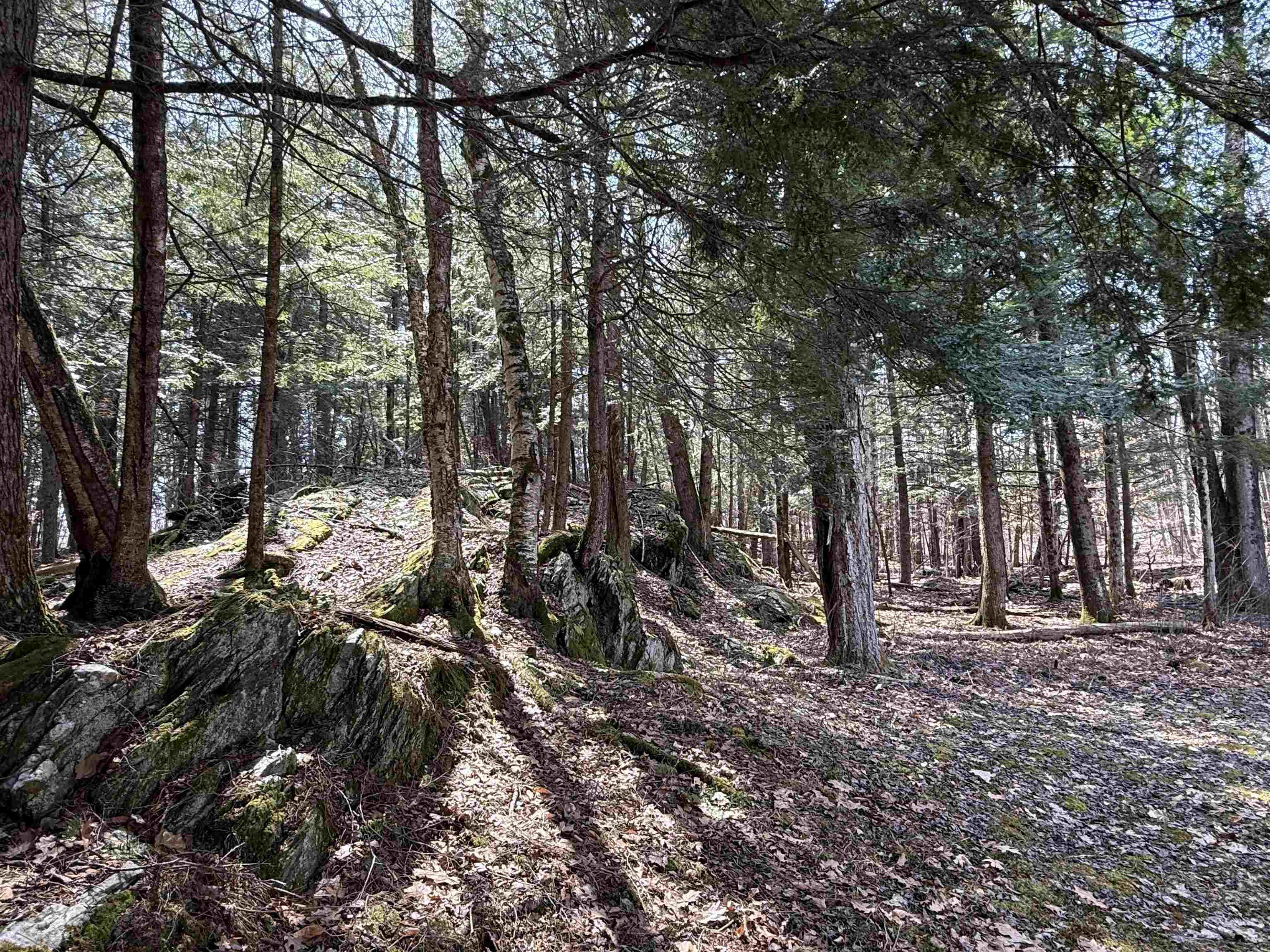 74 Dutton District Road Springfield, VT 05156 - Photo 48 of 58