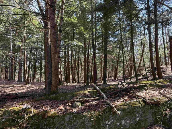 $350,000 | 74 Dutton District Road, Springfield, VT 05156