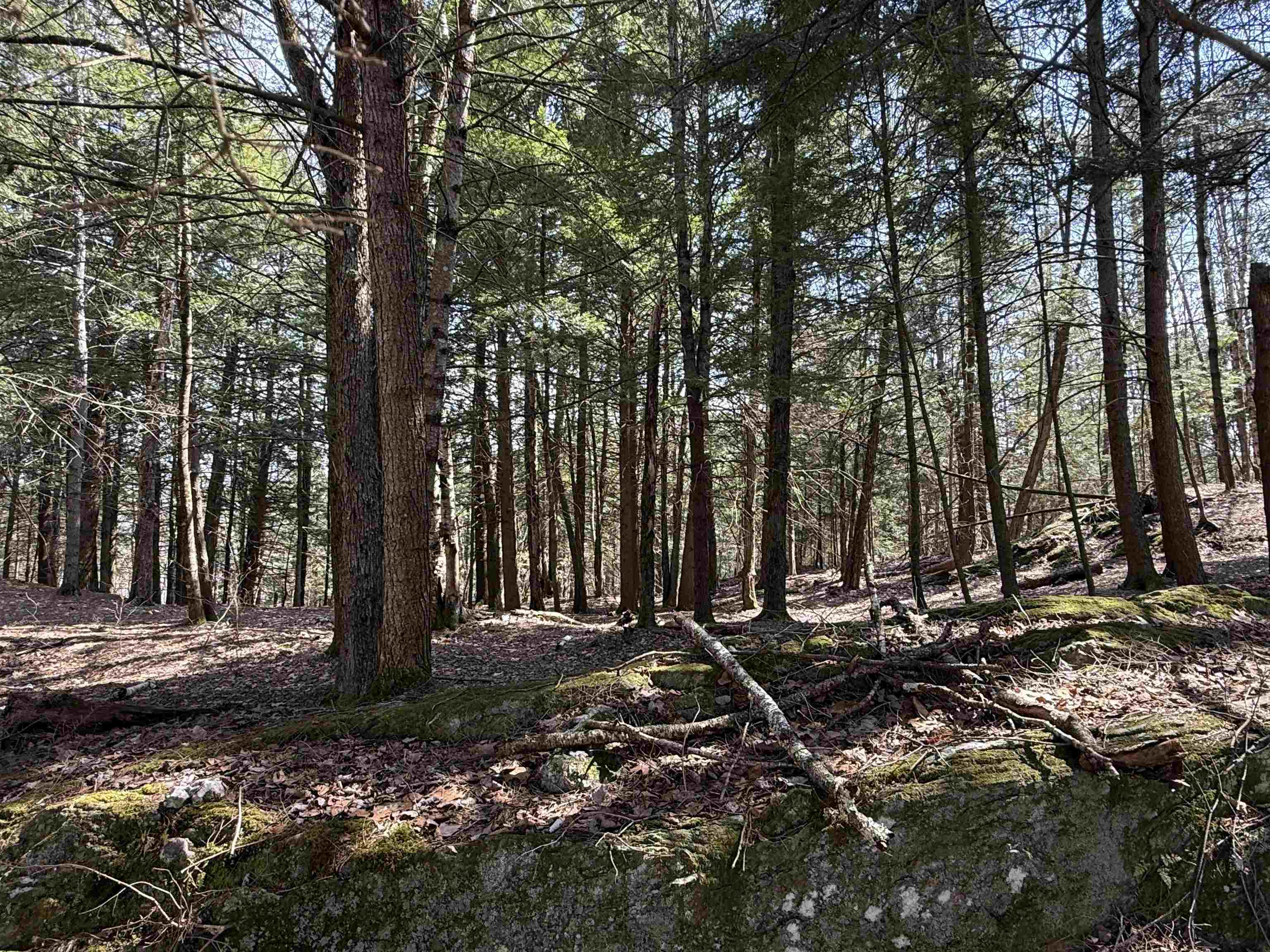 74 Dutton District Road Springfield, VT 05156 - Photo 49 of 58