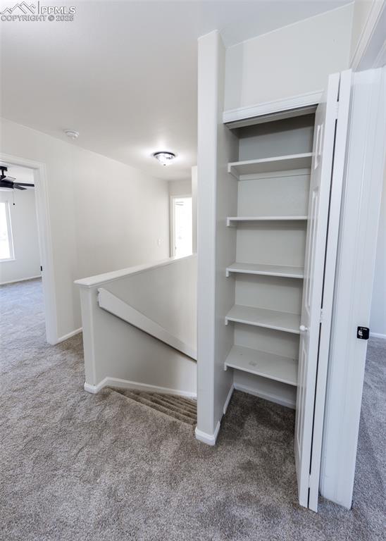 7715 Old Spec Road Peyton, CO 80831 - Photo 40 of 50 a view of an empty walk in closet