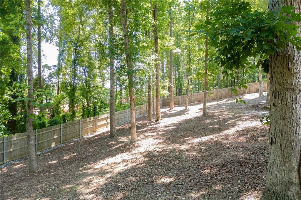 3803 Carter Road Buford, GA 30518 - Photo 50 of 58