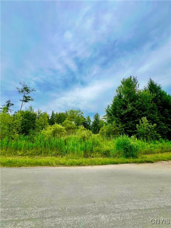 Lot 6 Forest Ridge Drive Rome, NY 13440 - Photo 2 of 7 Lot 6