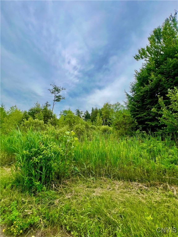 Lot 6 Forest Ridge Drive Rome, NY 13440 - Photo 5 of 7 Lot 6