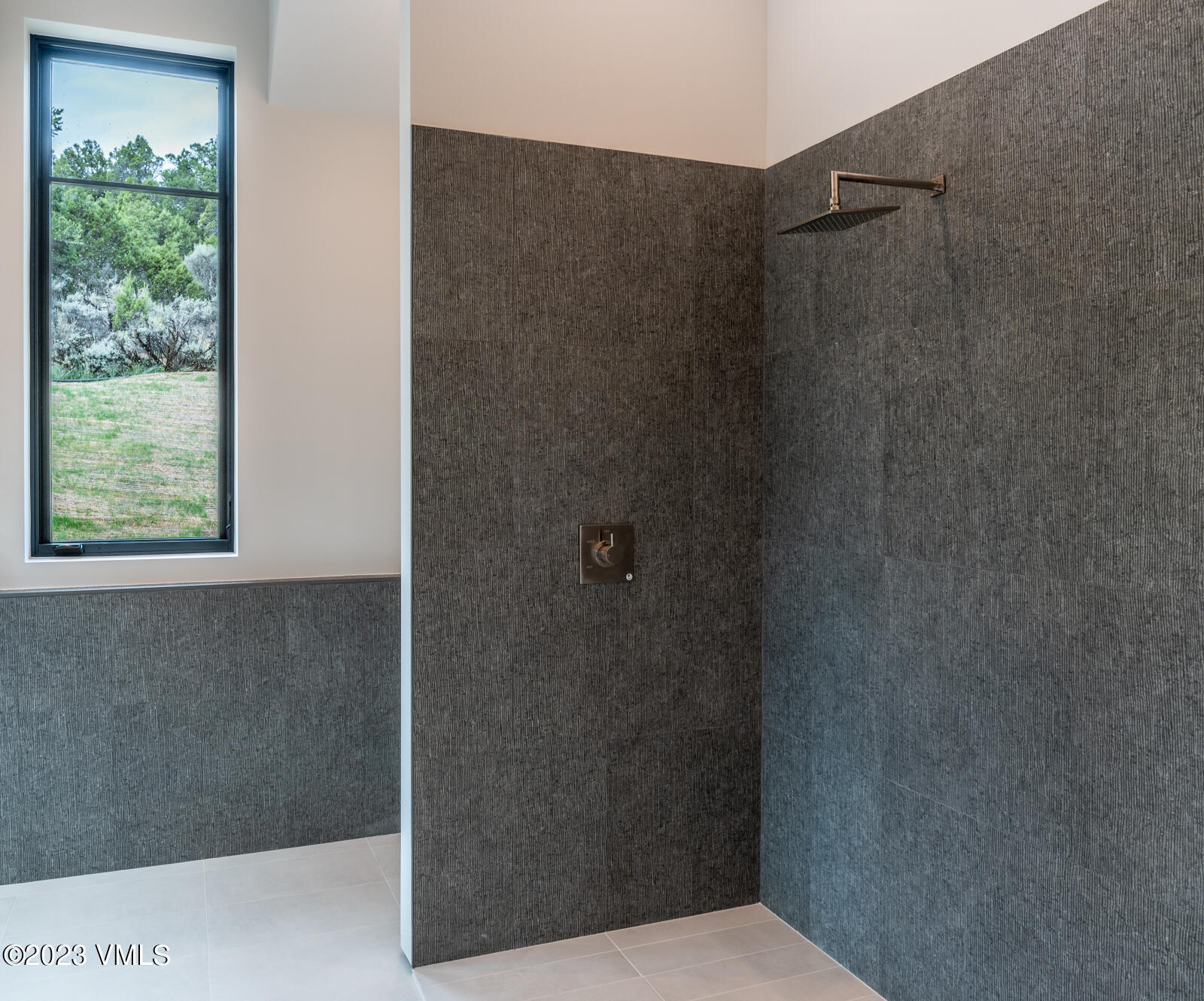 125 Silver Spur Eagle, CO 81631 - Photo 30 of 48 a bathroom with a shower and a window