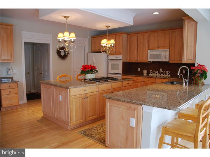 1015 Ridgehaven Road West Chester, PA 19382 - Photo 10 of 25 Kitchen
