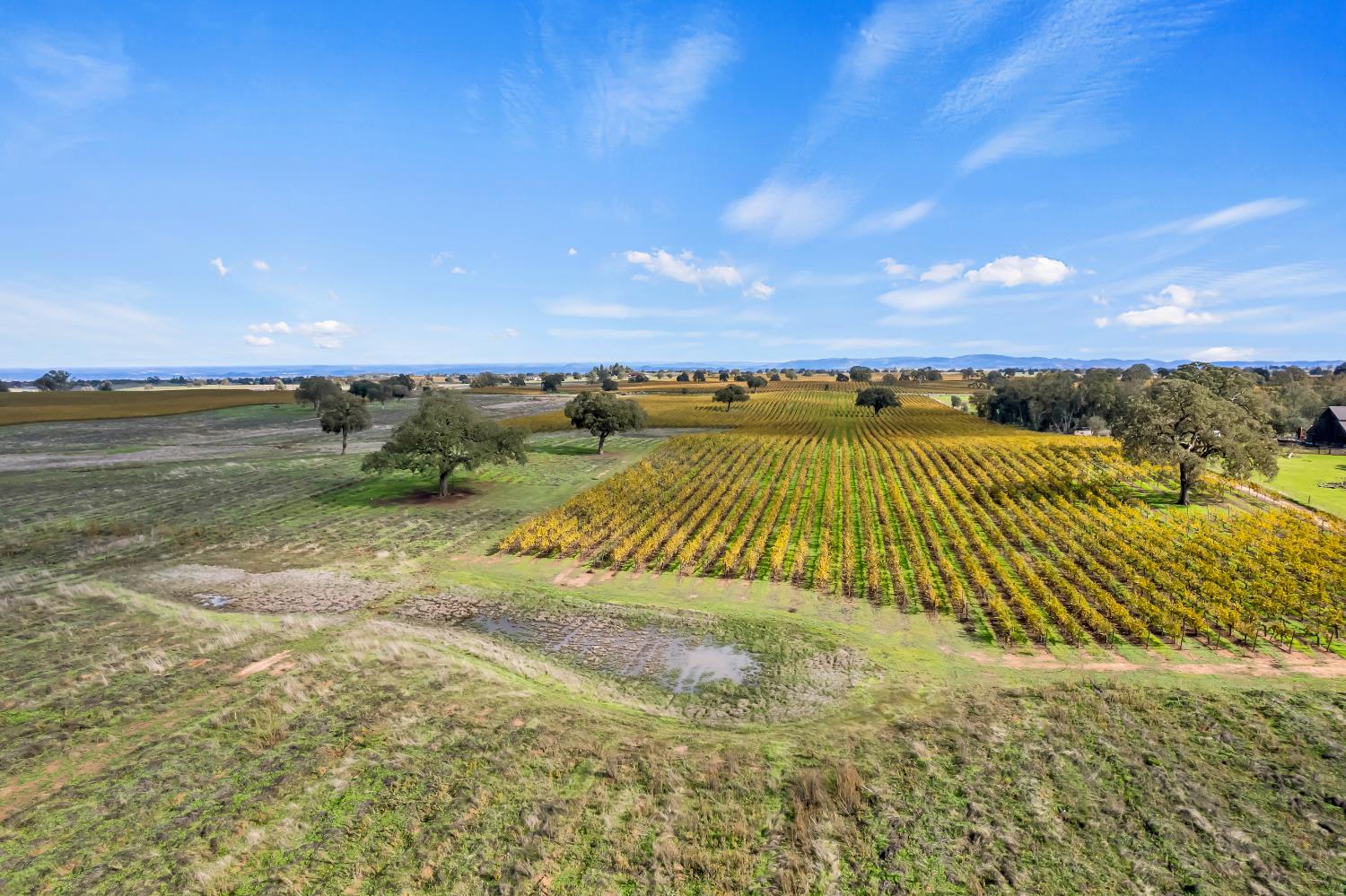 19301 Clements Road Lodi, CA 95240 - Photo 15 of 23 a view of an ocean beach
