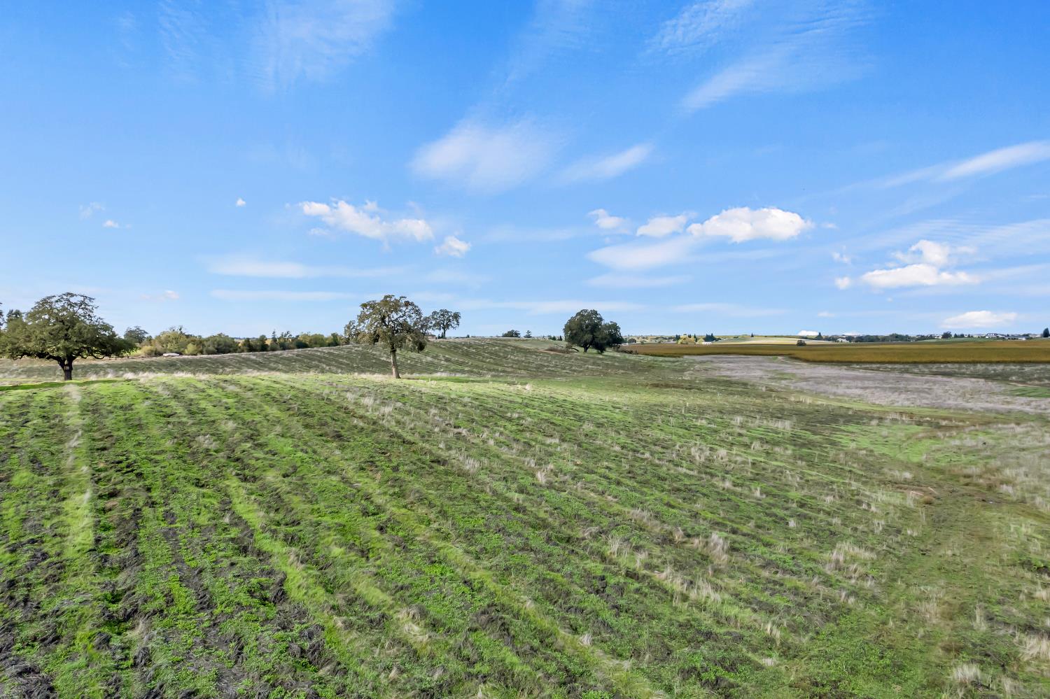 19301 Clements Road Lodi, CA 95240 - Photo 17 of 23 a view of an ocean