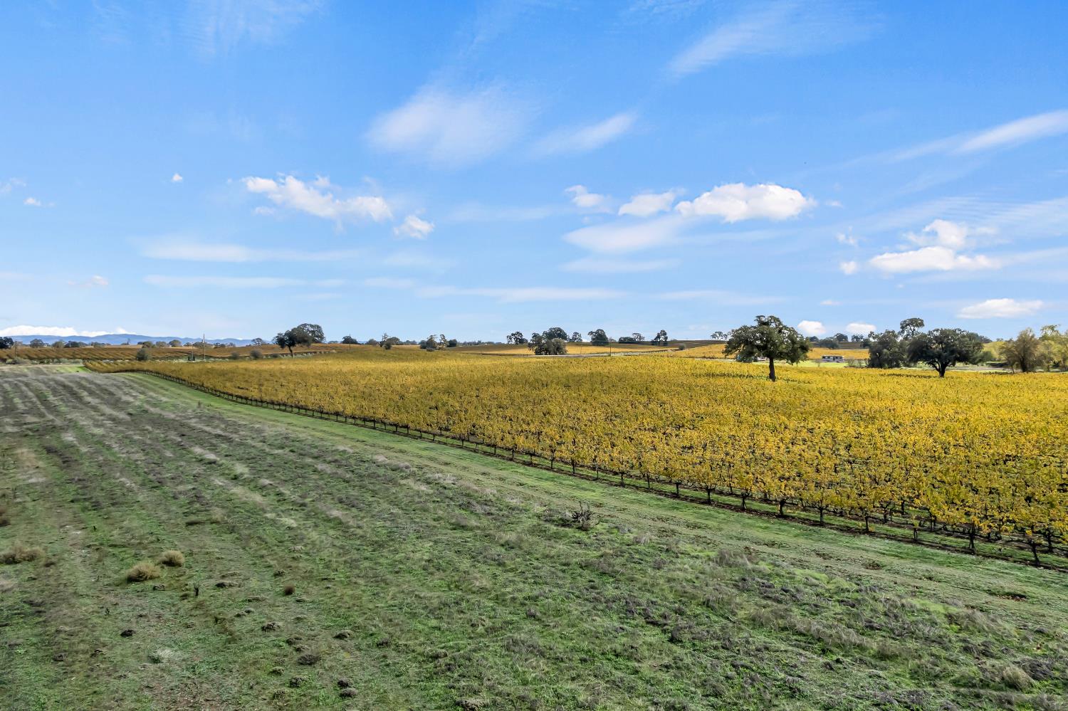 19301 Clements Road Lodi, CA 95240 - Photo 18 of 23 a view of an ocean