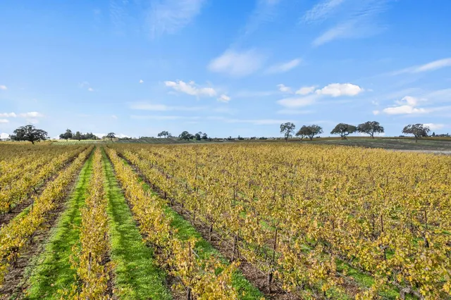 a view of an ocean and sunset