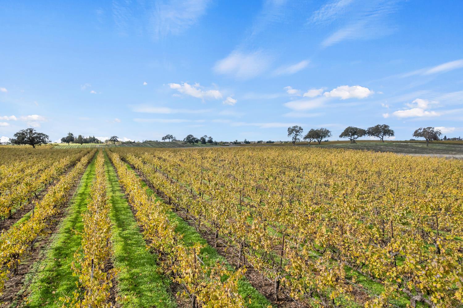 19301 Clements Road Lodi, CA 95240 - Photo 19 of 23 a view of an ocean and sunset
