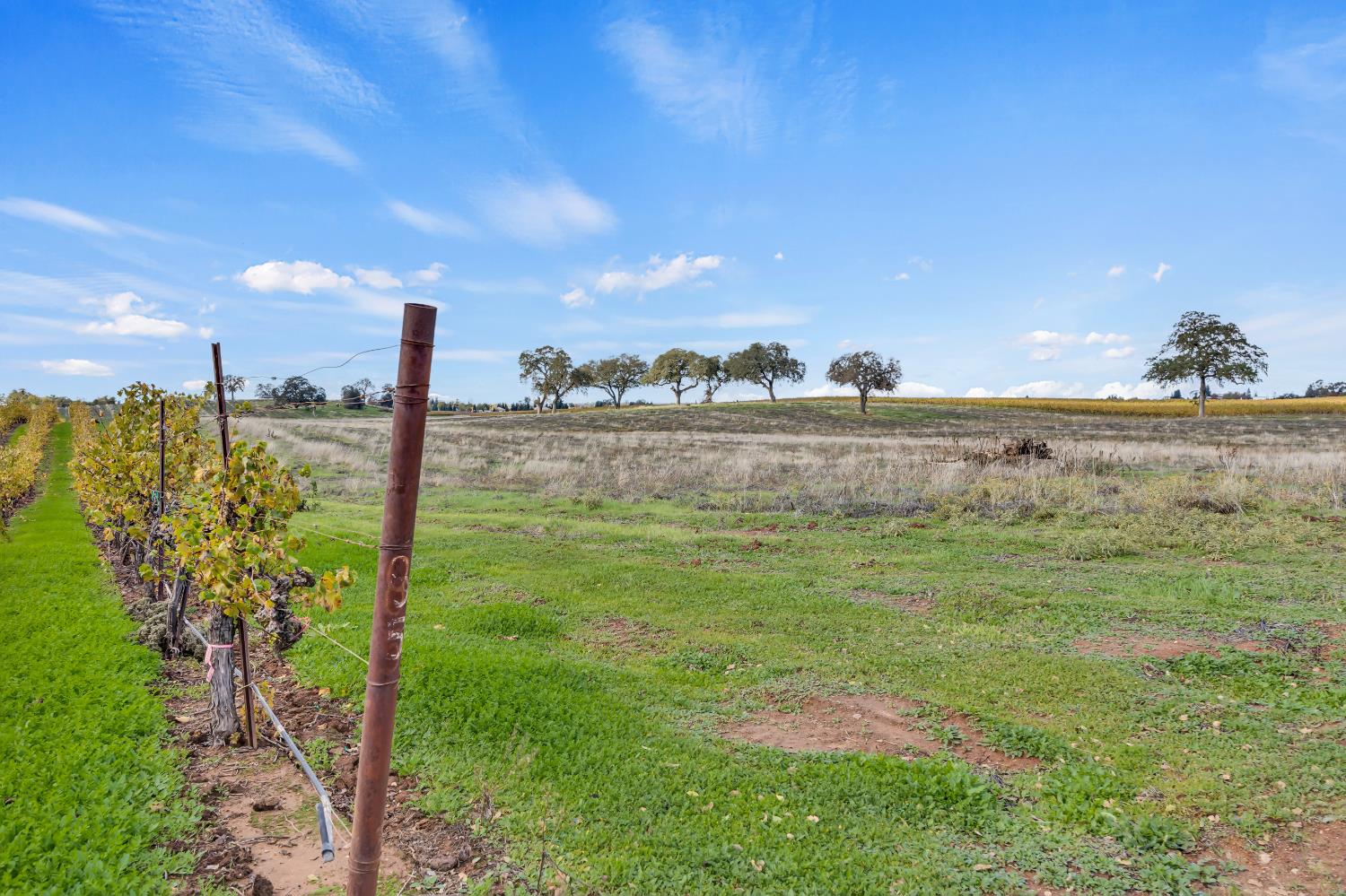 19301 Clements Road Lodi, CA 95240 - Photo 20 of 23 a view of a lake with a big yard