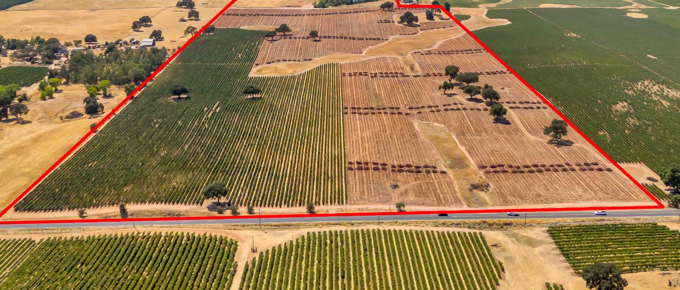 19301 Clements Road Lodi, CA 95240 - Photo 2 of 23 a view of swimming pool with a terrace seating