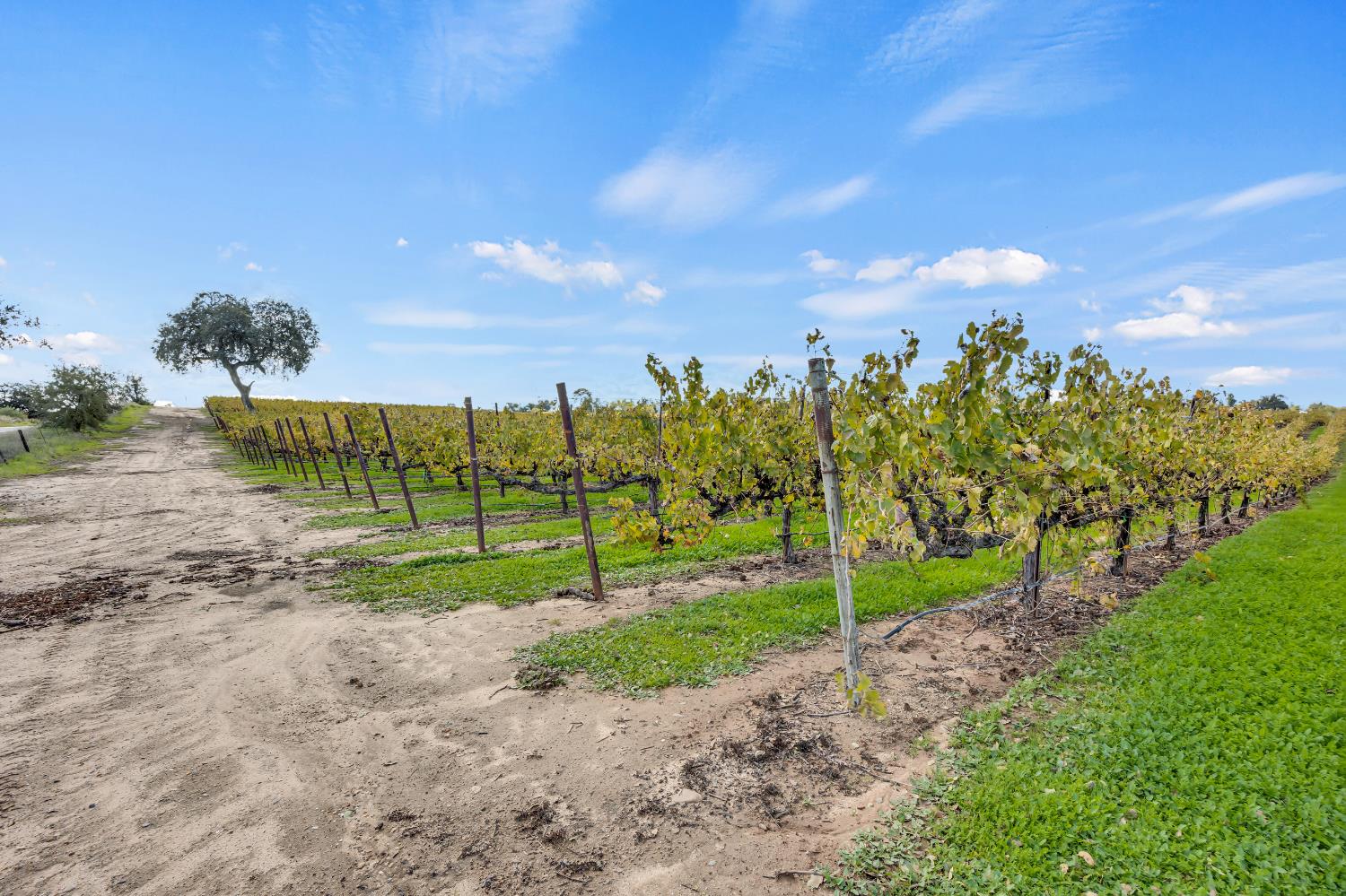19301 Clements Road Lodi, CA 95240 - Photo 21 of 23 a view of a park
