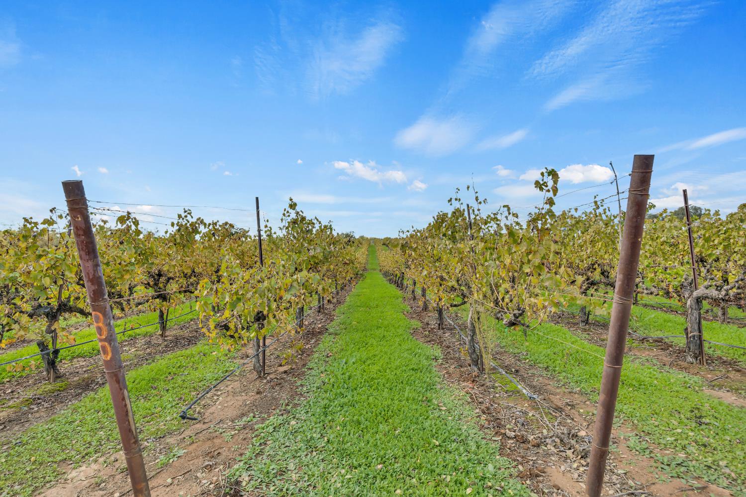 19301 Clements Road Lodi, CA 95240 - Photo 22 of 23 a view of a city