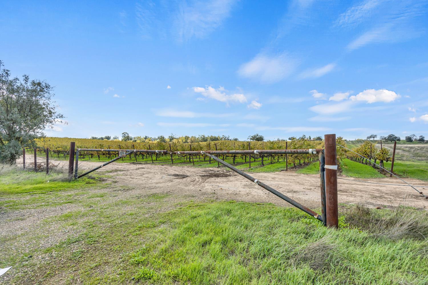 19301 Clements Road Lodi, CA 95240 - Photo 23 of 23 a view of a park