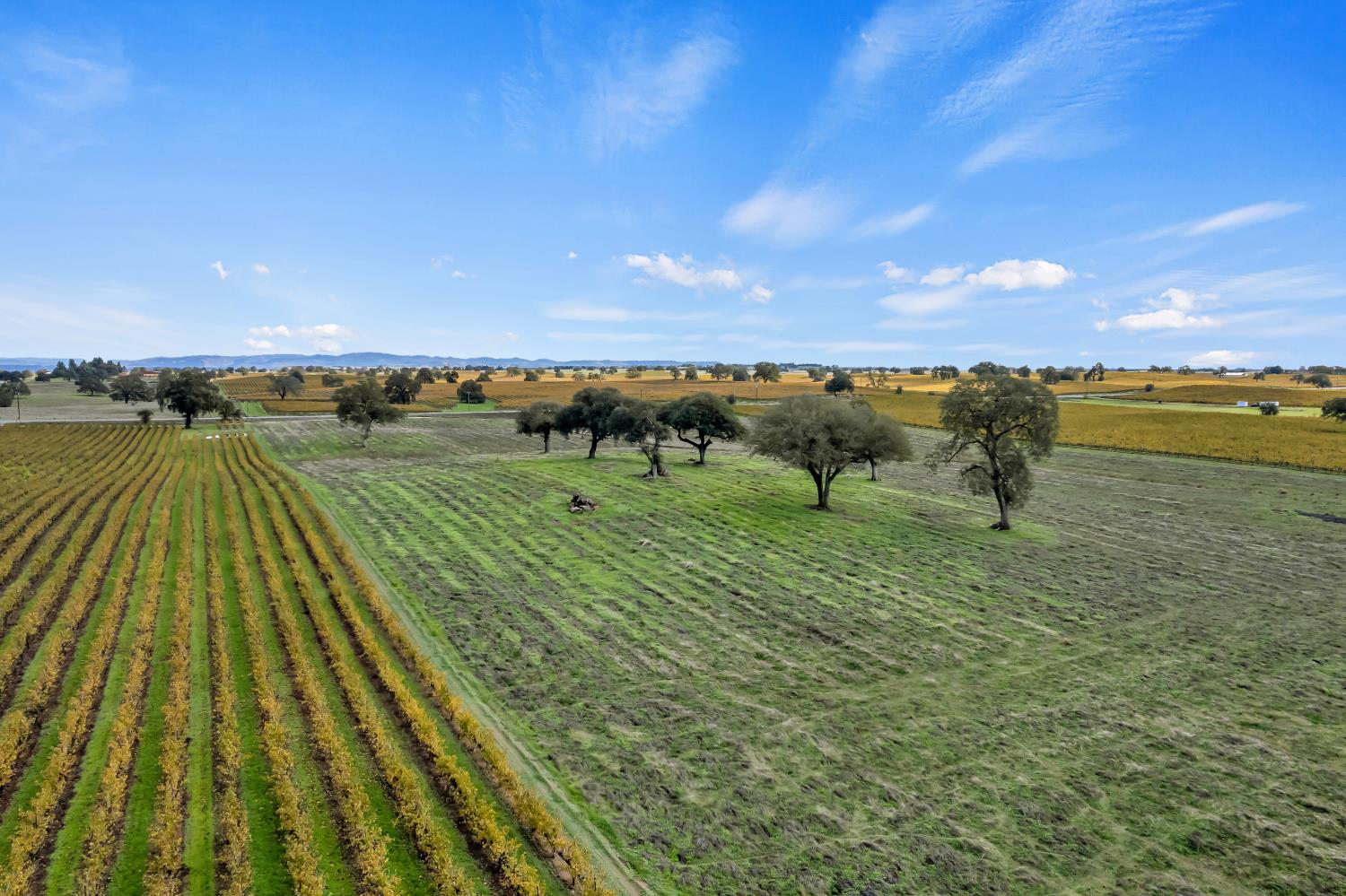 19301 Clements Road Lodi, CA 95240 - Photo 9 of 23 a view of a lake with a yard