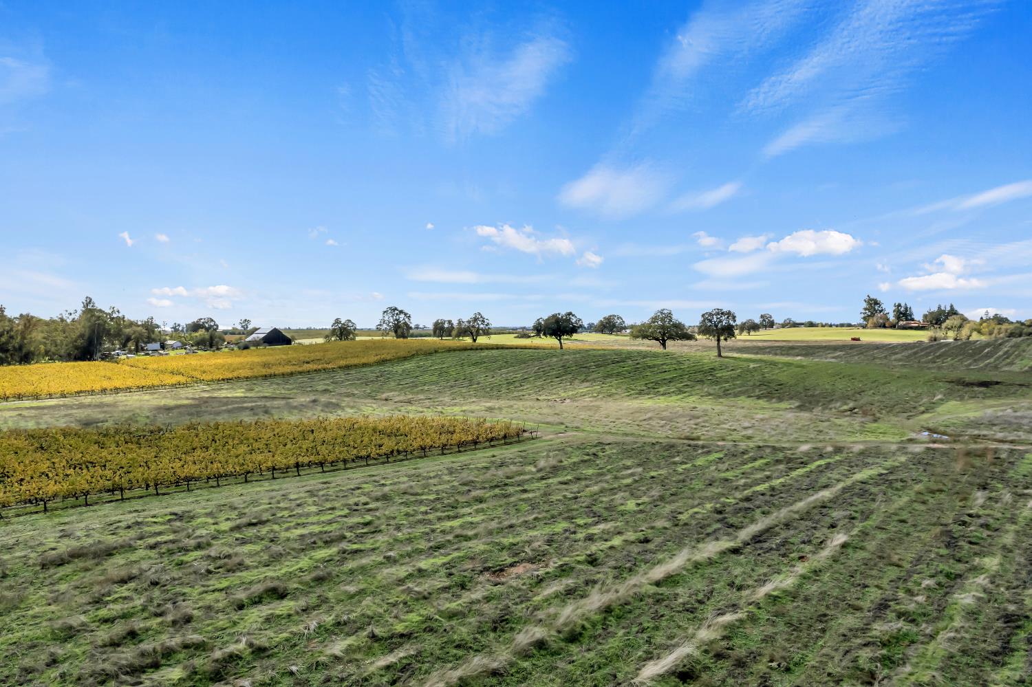 19301 Clements Road Lodi, CA 95240 - Photo 10 of 23 a view of an ocean