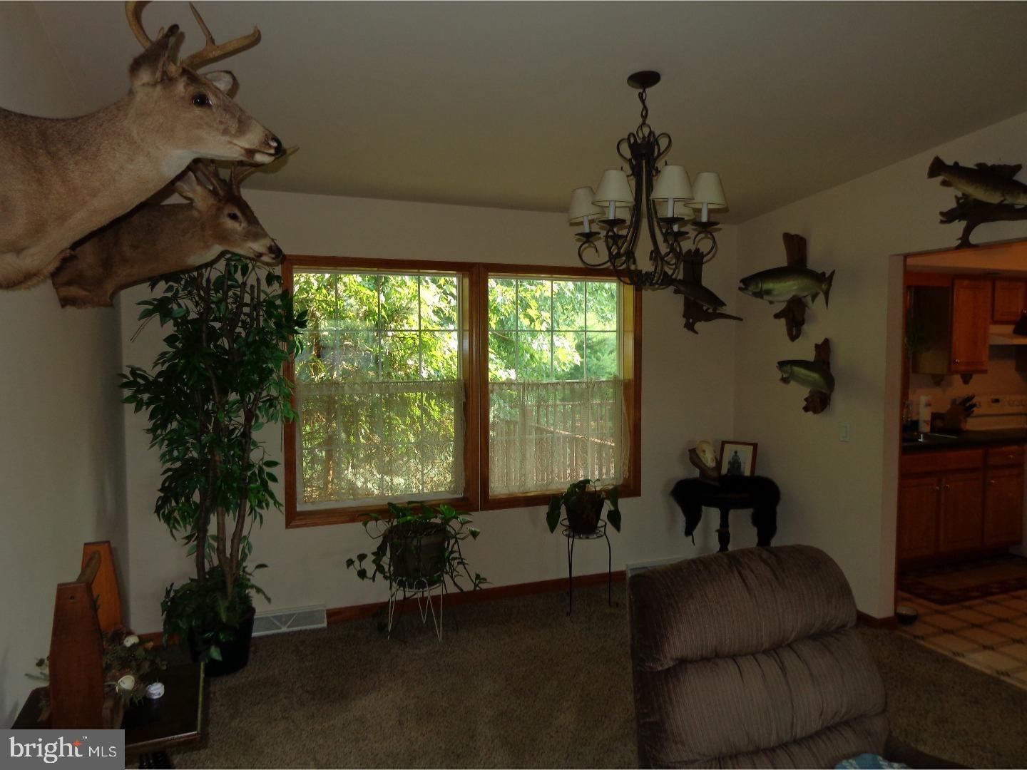64 Derr Road Bernville, PA 19506 - Photo 4 of 25 Gallery Image 4