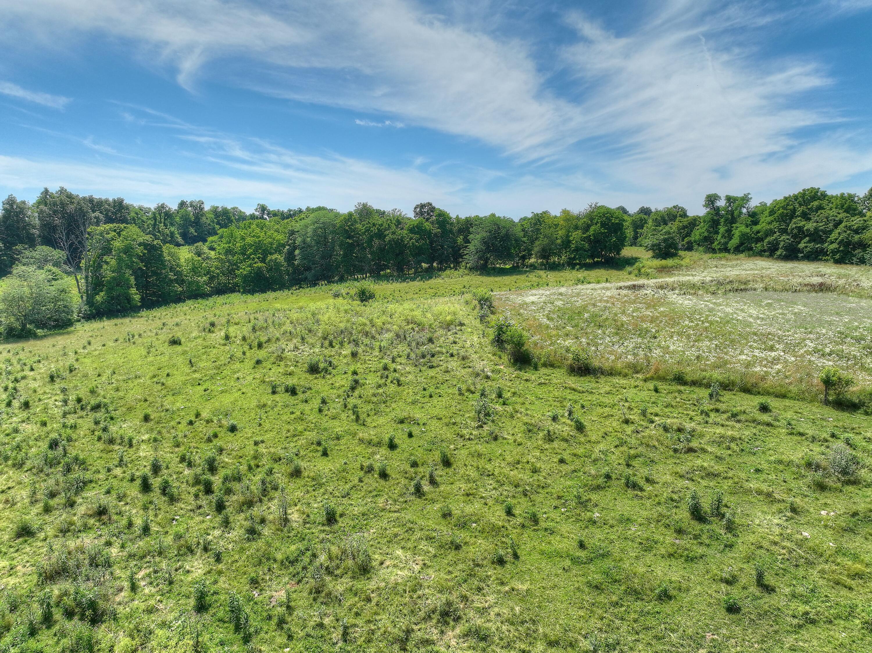 9944 Old Union Road Union, KY 41091 - Photo 3 of 18 Gallery Image 3