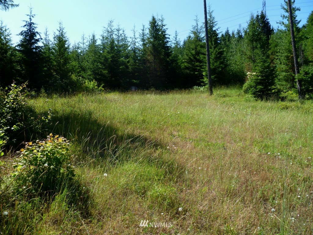 0 Stone Ridge Drive Cle Elum, WA 98922 - Photo 11 of 14 Gallery Image 11