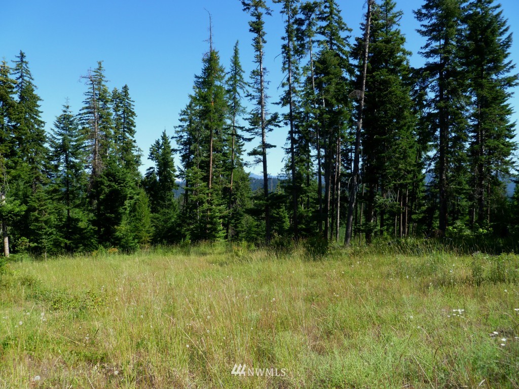 0 Stone Ridge Drive Cle Elum, WA 98922 - Photo 12 of 14 Gallery Image 12