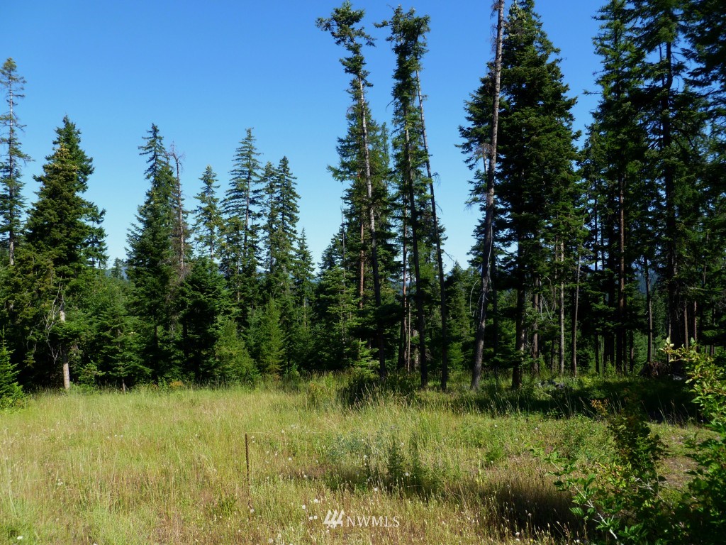 0 Stone Ridge Drive Cle Elum, WA 98922 - Photo 13 of 14 Gallery Image 13