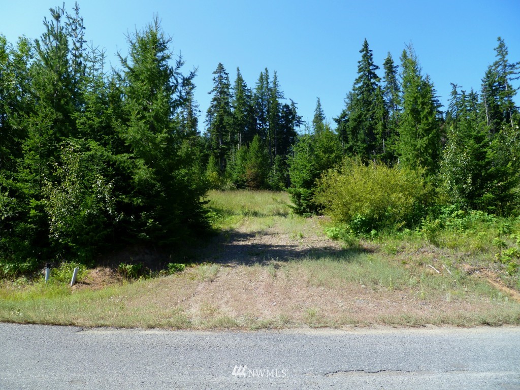 0 Stone Ridge Drive Cle Elum, WA 98922 - Photo 5 of 14 Gallery Image 5